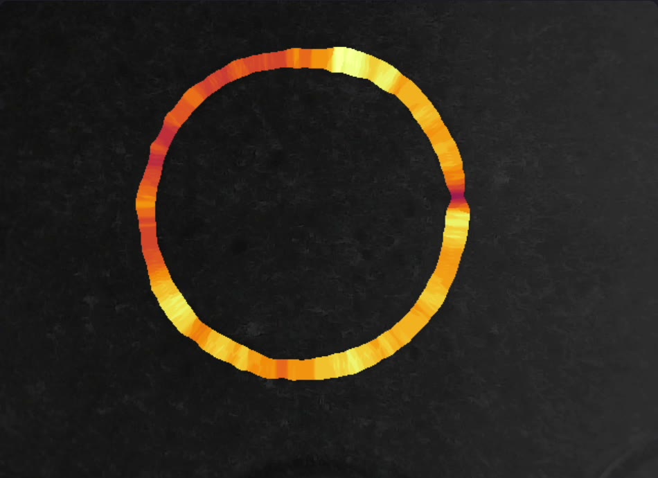 Heatmap view of a printed ring, with filament width mapped to color around the circumference